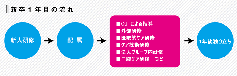 新人教育　新卒１年目の流れ